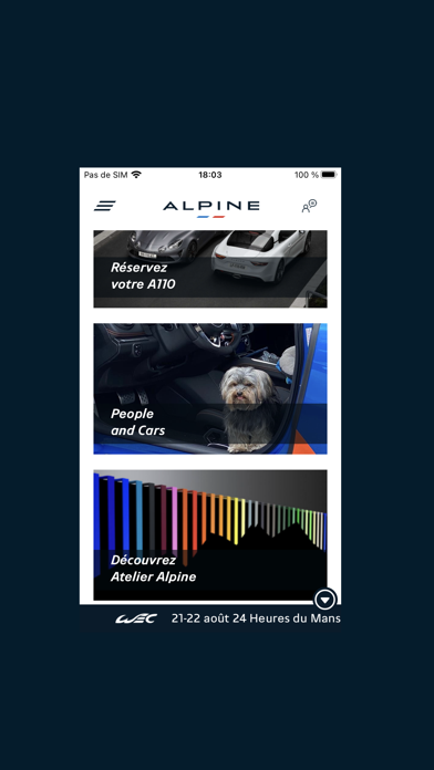ALPINE Cartaz