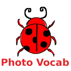 English Vocab : Picture Quiz