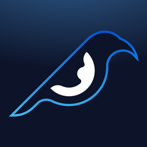 Magpie - chat stories online