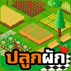 เกมปลูกผัก