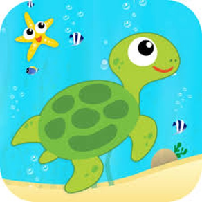 Meer Tiere Wasser Lernspiele