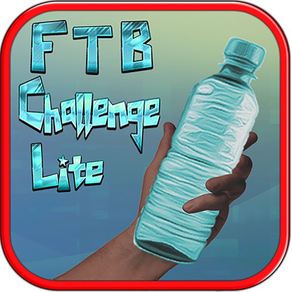 FTB Challenge 3D Lite- Bottle Flip