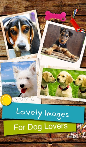 Cães - App for Dog Lovers