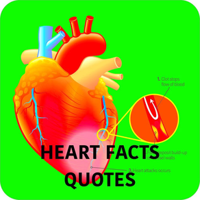 Human Heart Facts & Quiz 3000