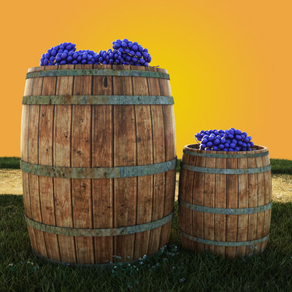 Vineyard Escape