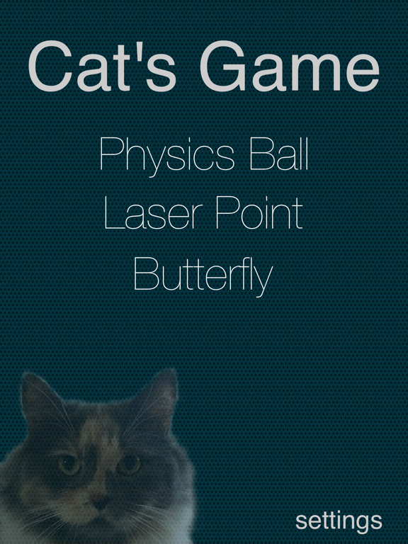 Cat's Game poster
