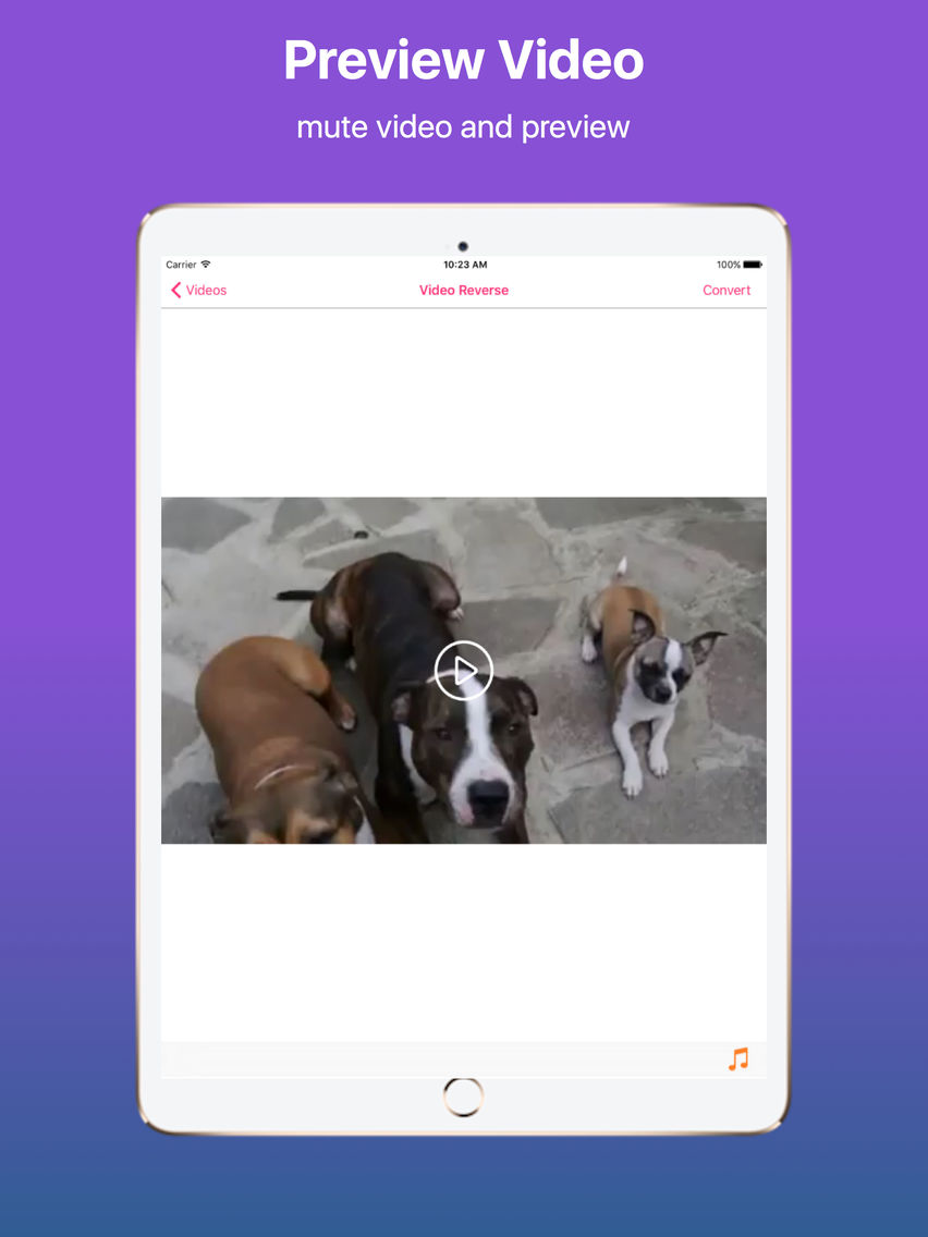 Create Video Reverse poster