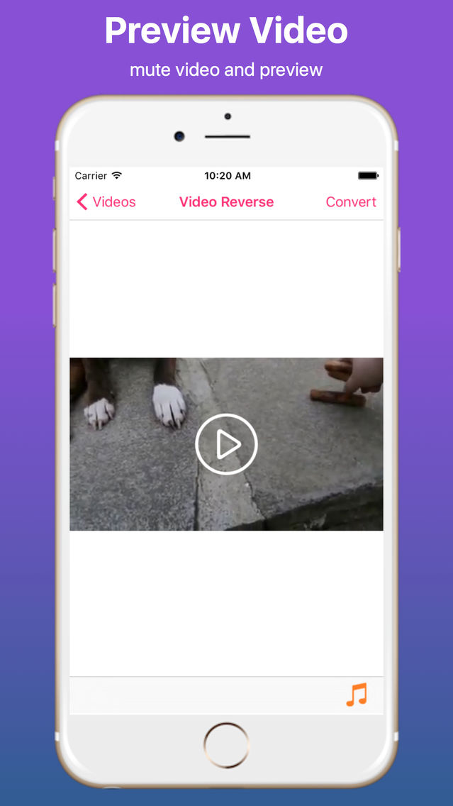Create Video Reverse poster