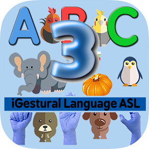 iGestural Language ASL III