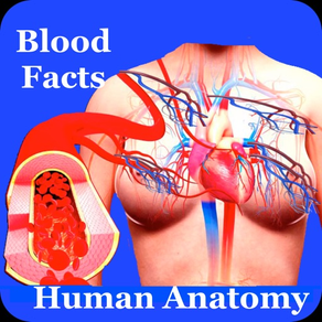 Human Anatomy Blood Facts 2000