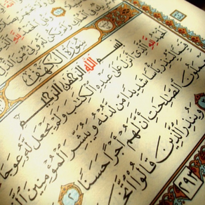 Quran - "Maher Al Mueaqly"