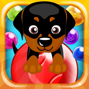 Doggy Bubbles - Play bubbleshooter in this action packed game!