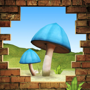 Mushrooms and gems