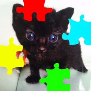 Cat's Jigsaw Puzzles
