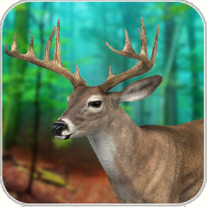 Real Deer Hunting-the Huntsman