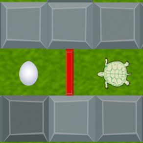 The Turtle's Challenge
