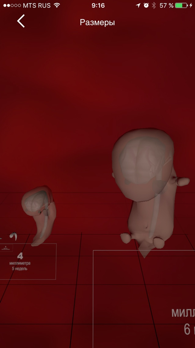 Я беременна 3D poster