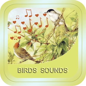 Bird Soundx