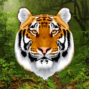 Growl - Tiger Sounds
