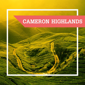 Cameron Highlands City Guide