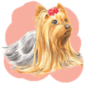 Adorable Yorkie Dog Sticker