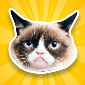 GrumpyBomb - Grumpy Cat Photobomb