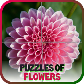 Puzzles of Flowers Free