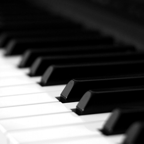 ピアノの弾き方を学ぶ PRO