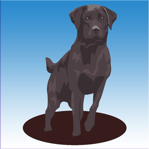 Dog Trainer / Deterrent