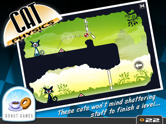 Cat Physics poster