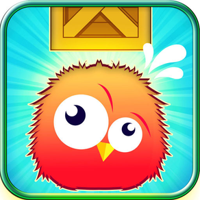 Bird Fly Flappy Game