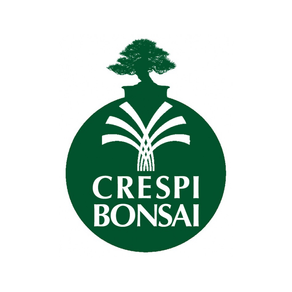 Crespi Bonsai