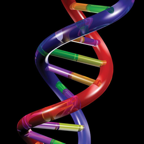 AP Biology Hardy-Weinberg Spreadsheet Tutorial