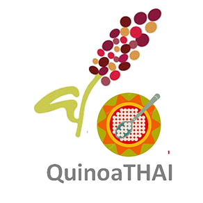 Quinoa Thai