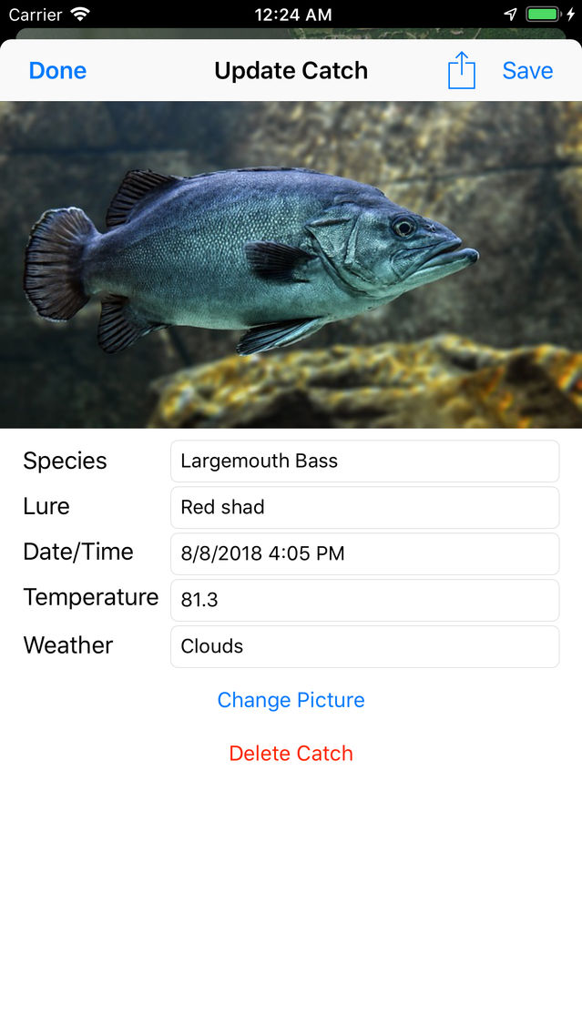 loggerhead poster