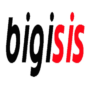 bigisis_idareci