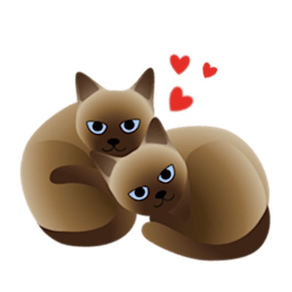 Sweet Siamese Cat Sticker