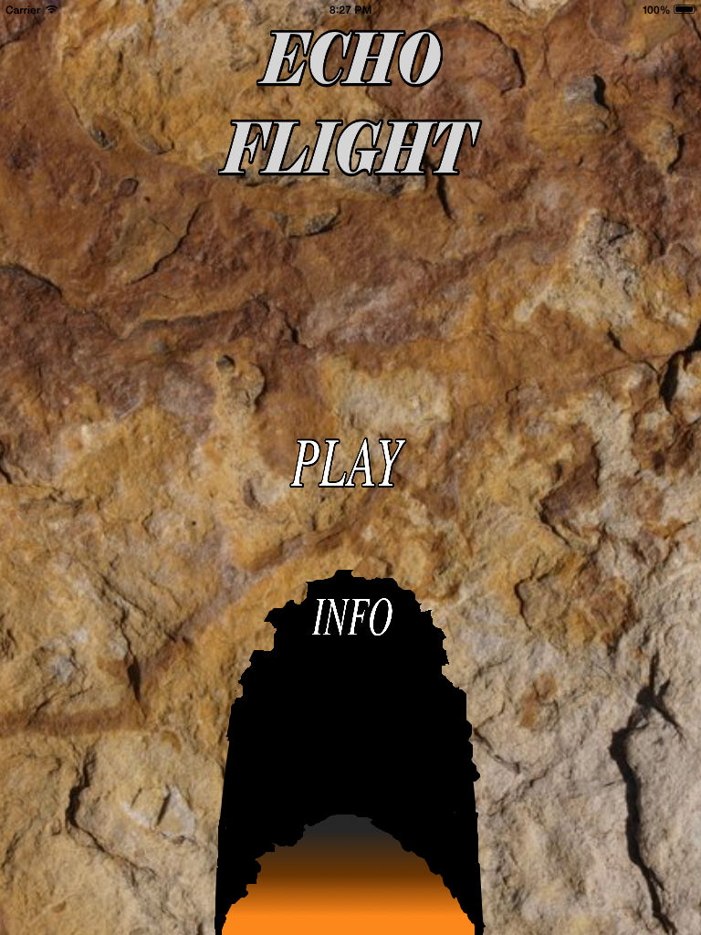 Echo Flight poster