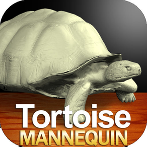 Tortoise Mannequin