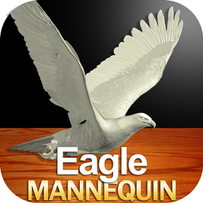 Eagle Mannequin