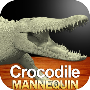 Crocodile Mannequin