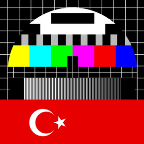 Türk Televizyon