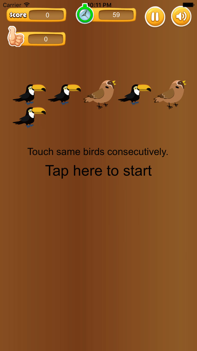 Touch Same Birds poster