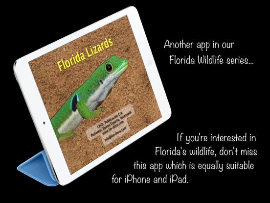 Florida Lizards poster