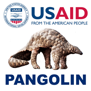 Pangolin Species ID Guide