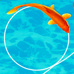 Koi Fish New 3D Game 2019