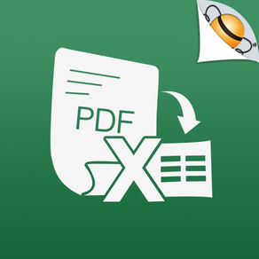 PDF to Excel with OCR