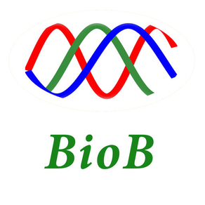 Bio Bump - Couple Matching