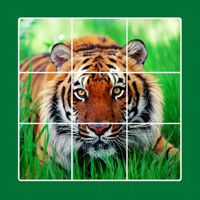 Animal puzzle: fun jigsaw game