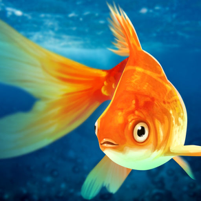 Pet Fish Tank - Goldfish Home